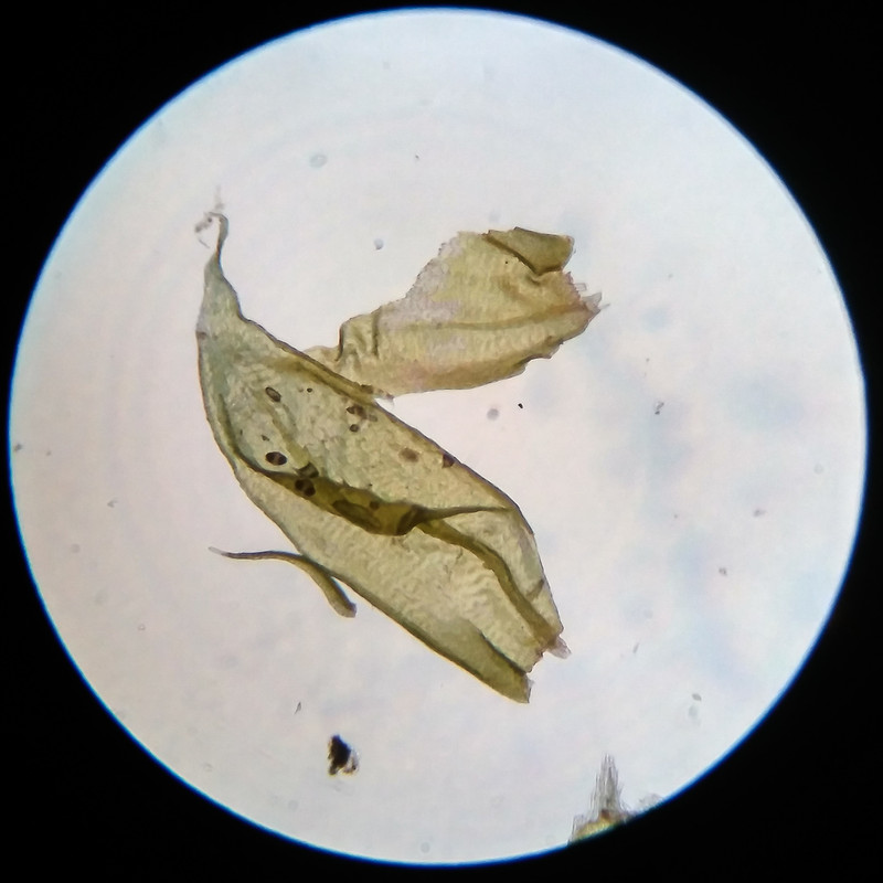 IMG 20250616 212019 HDR