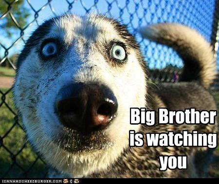 big-brother.jpg
