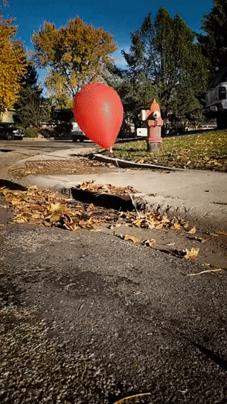 https://i.postimg.cc/3JTLz5P7/ezgif-7-d286cbcba07c.gif