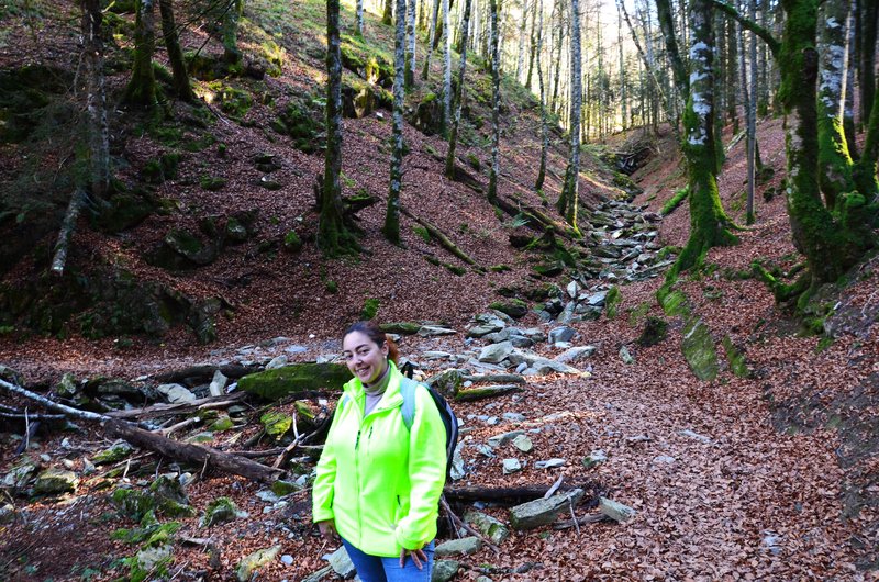 Navarra y sus pueblos-2015 - Blogs de España - Selva de Irati-14-11-2015 (33)