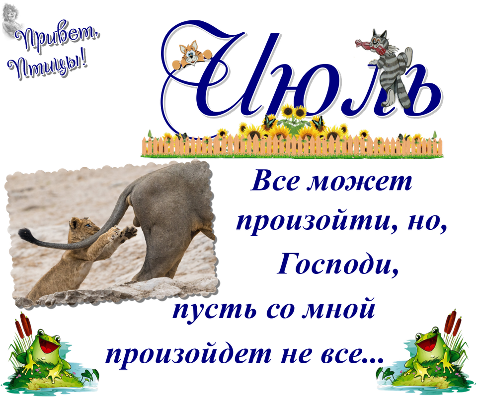 https://i.postimg.cc/3JTtLp98/03-07.png