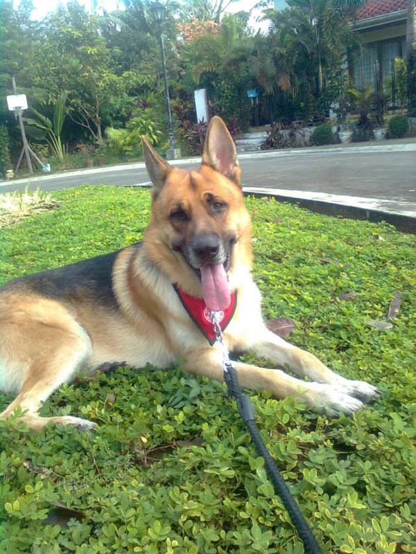 969766_341961515934492_1802482060_n