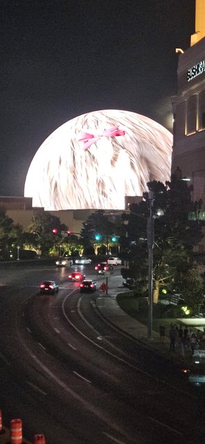 Luna de miel por la Costa Oeste de EE.UU - Blogs de USA - Las Vegas nos espera (35)