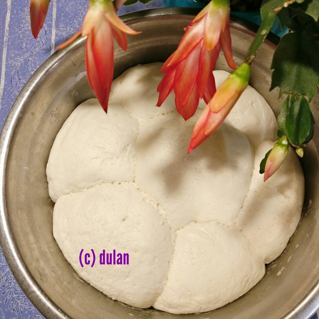 [Image: IMG-20230323-231405.jpg]