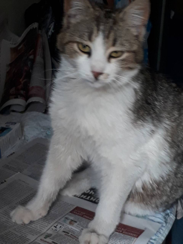 47F302AB-9DB8-4C97-904F-47C4276672F0