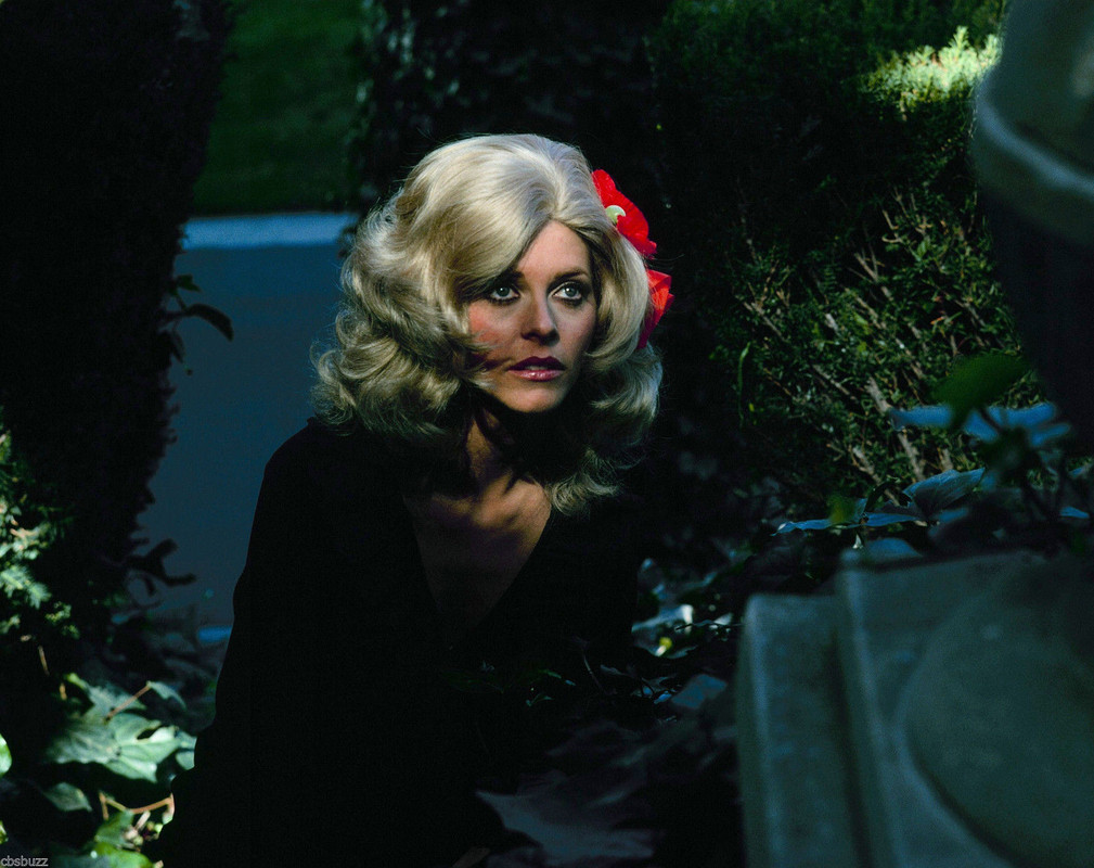 lindsay_wagner_d14