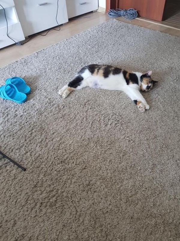 2D24AC7B-F4BD-4434-A310-D1BB4F546F2E