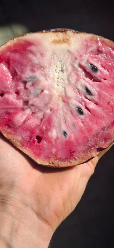 Whats App Image 2026 03 10 at 7 47 58 PM (1)