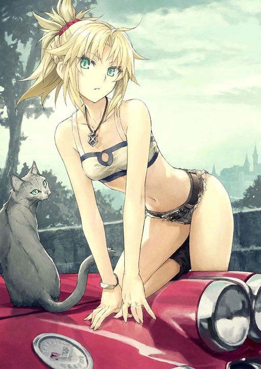 mordred-and-mordred-fate-and-2-more-drawn-by-konoe-ototsugu-cd77482c49254e7edaae50089087aa39