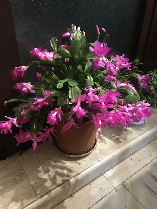 8E72004C-927E-47B3-ACC2-BF3AE41A4588