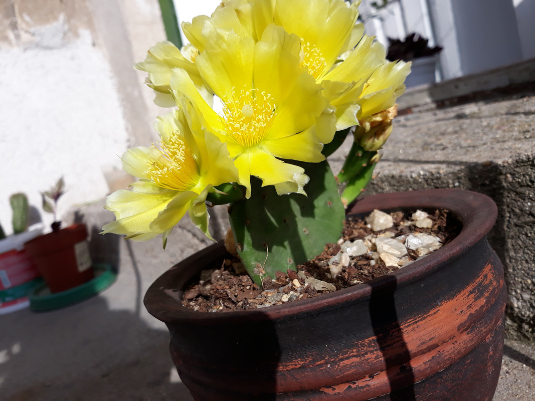 20190613_180847