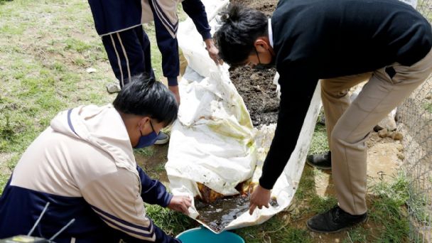 Alumnos de Bachillerato desarrollan platos biodegradables y abono orgánico en Edomex