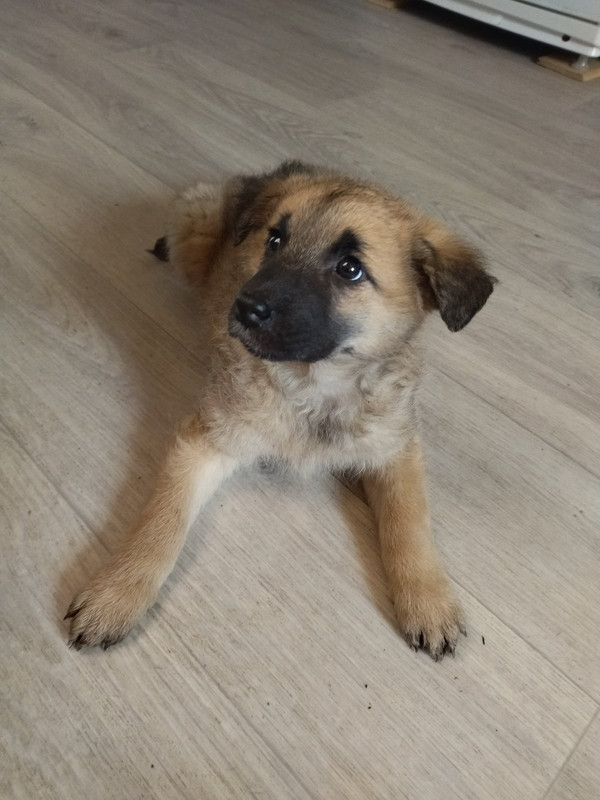 IMG-34a7497111a178c49ab50d0b05277766-V