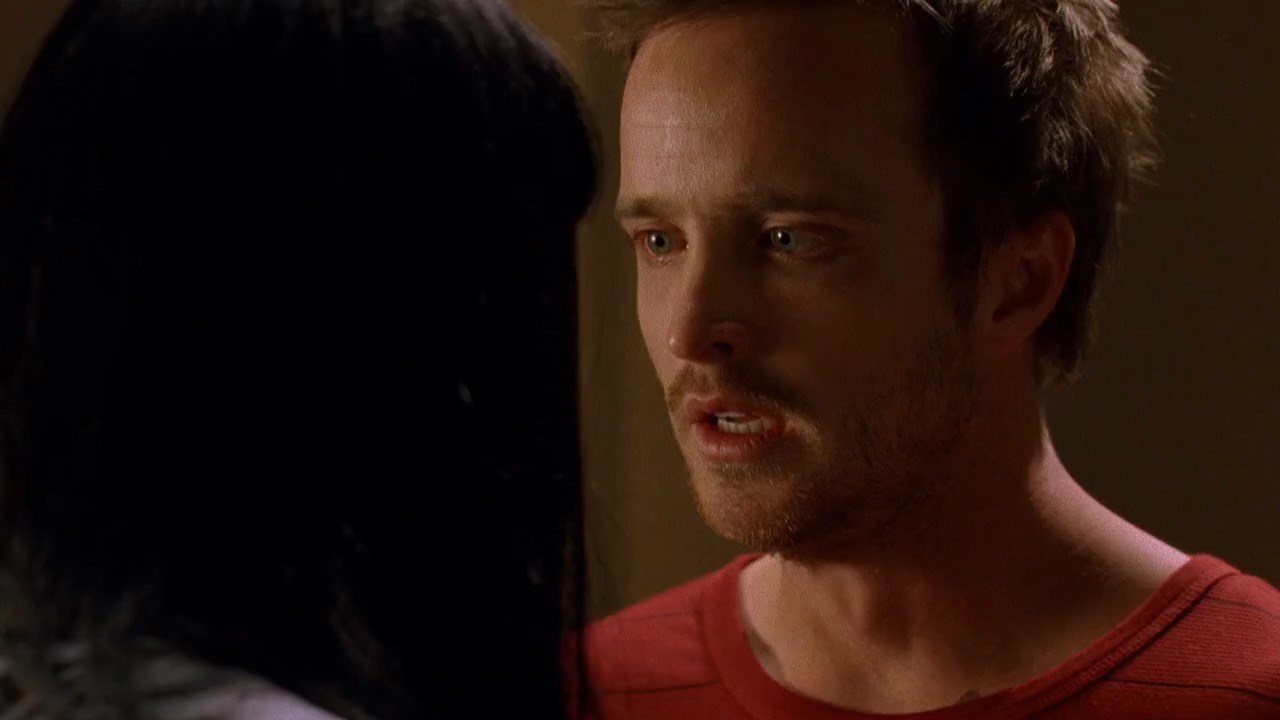 Breaking Bad (2009) Season 2 [Hindi + English] BluRay 480p 720p ESub - Complete Screenshot