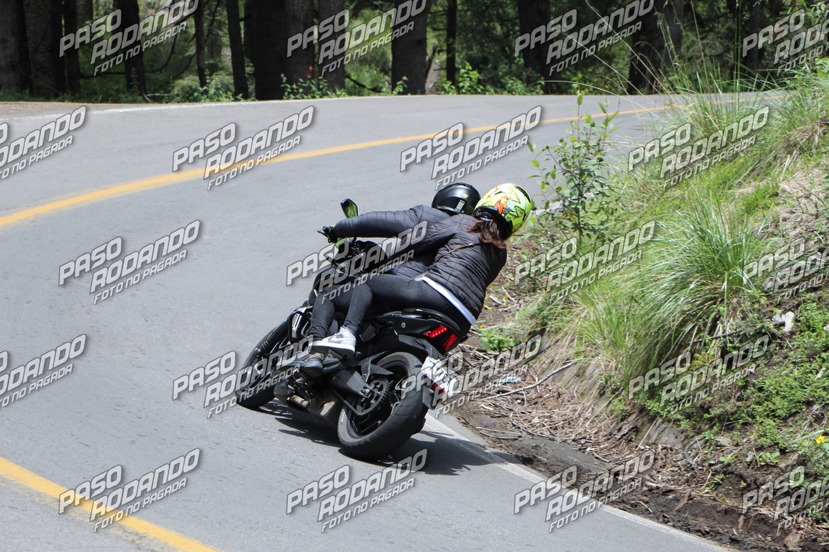 IMG 4138 wm 4247967 6 watermarked — Postimages