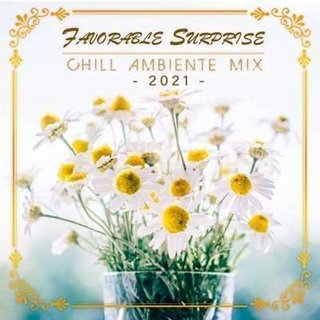 Favorable Surprise: Chill Ambiente Mix (2021) .mp3 - 320 kbps