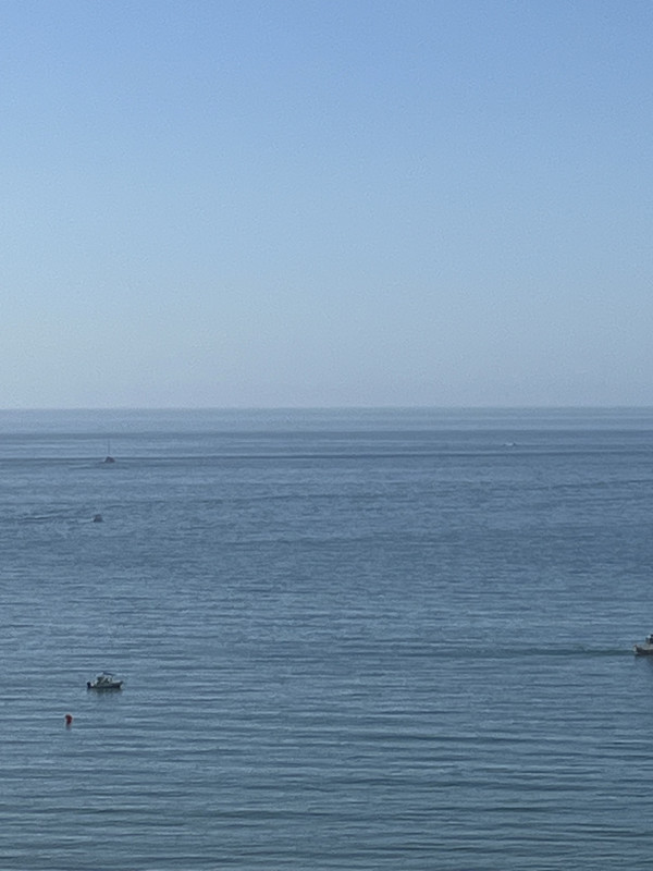 IMG-2098.jpg