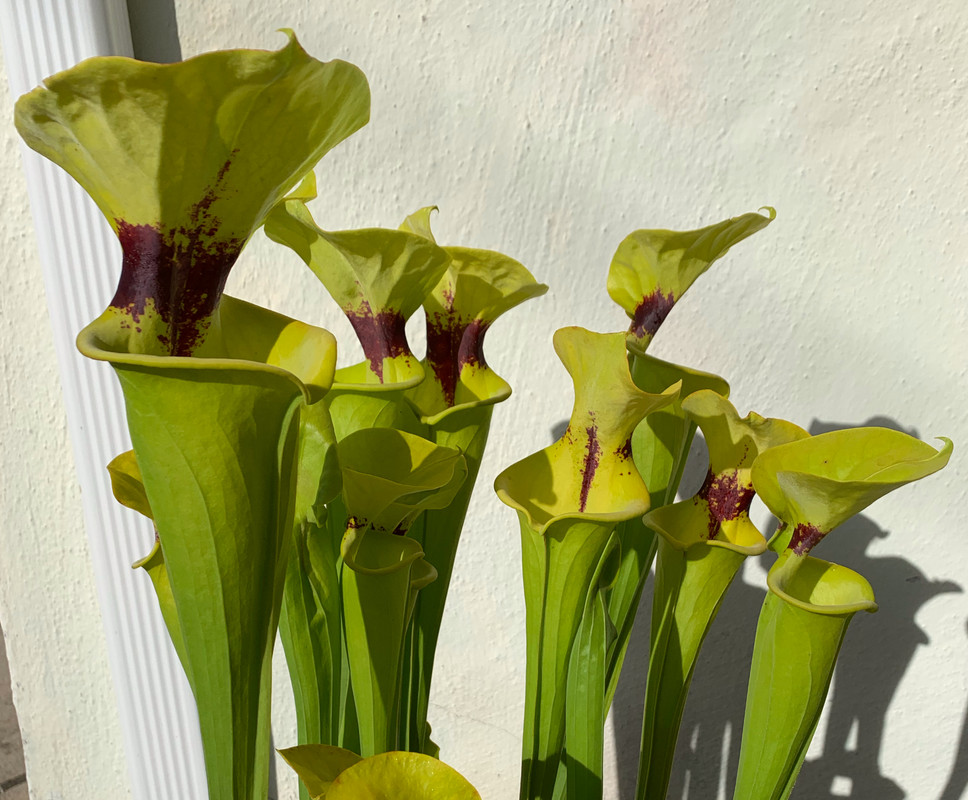 6CEA077D-C18F-4361-9AAA-FCD7B507A76E