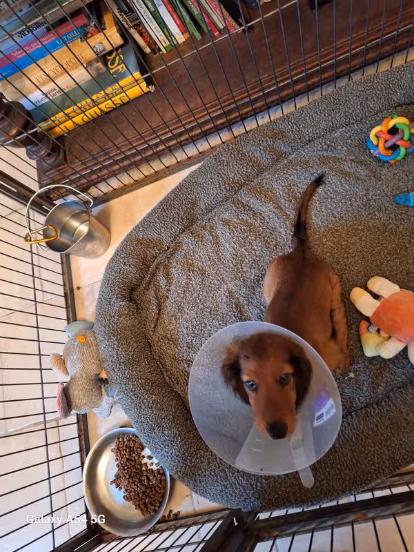 [Image: 20240923-085935.avif]