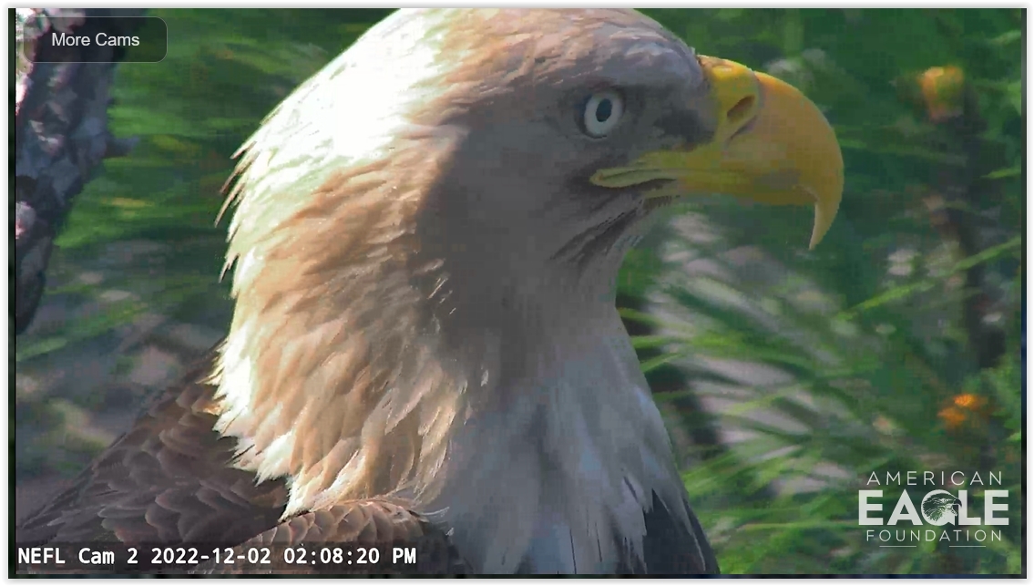 Screen Shot 12-02-22 at 08.09 PM 001