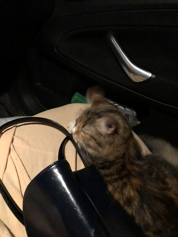 1B00C418-813D-445B-837C-525B06924604