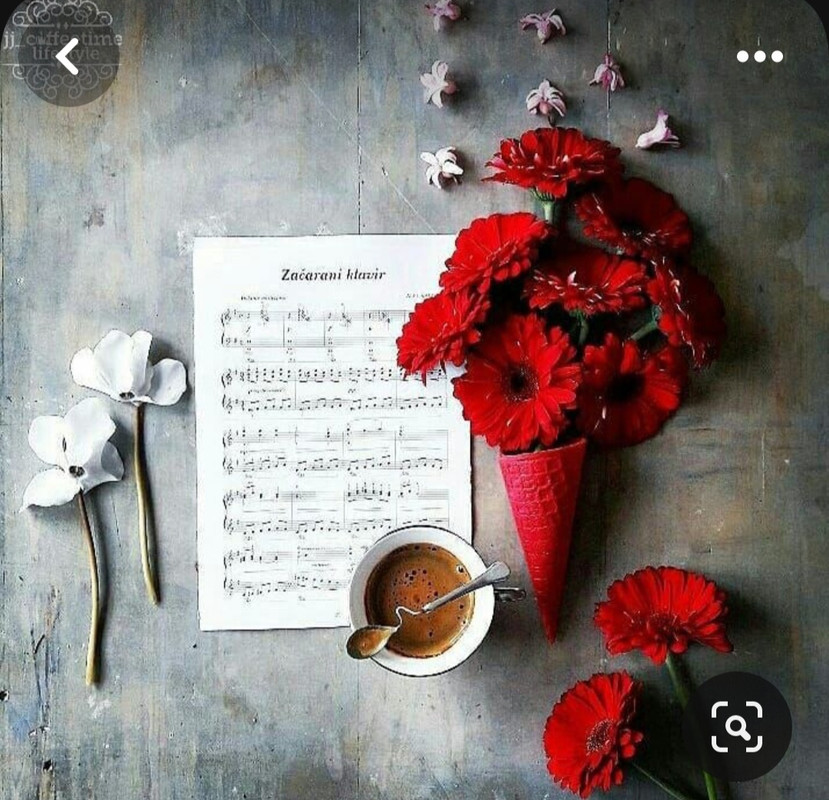 Screenshot_20230909_002638_Pinterest