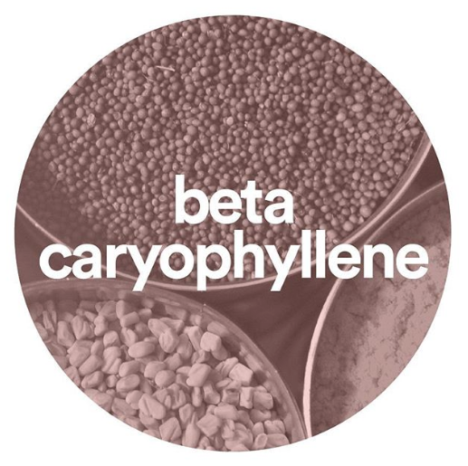 carophyllene.png