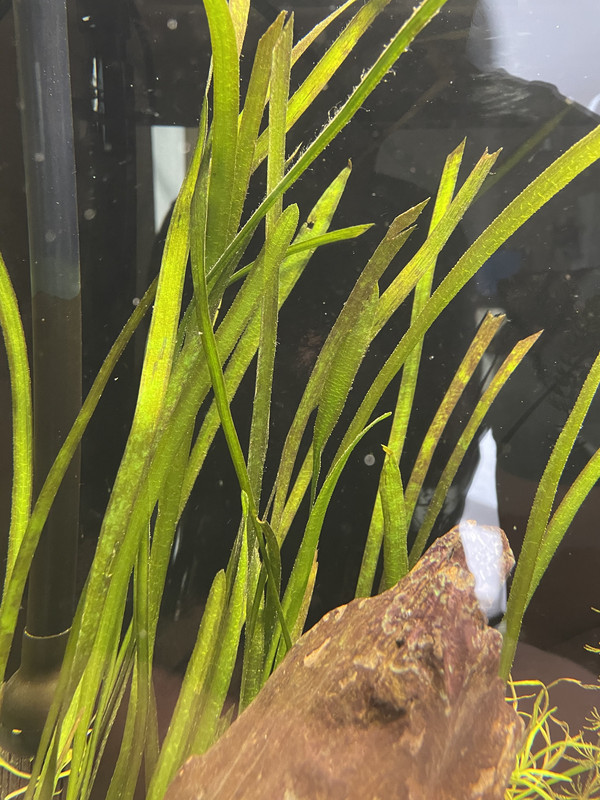 9C41A633-F75E-4211-A7BB-74DF111D0885