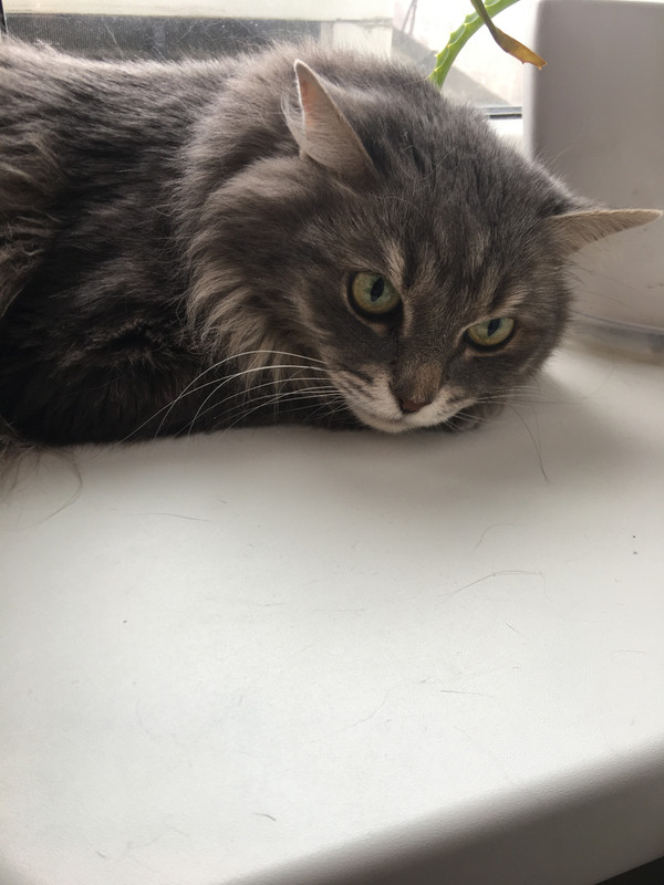 3795A298-70E7-4E1A-8A37-EAAAFF10BC3B