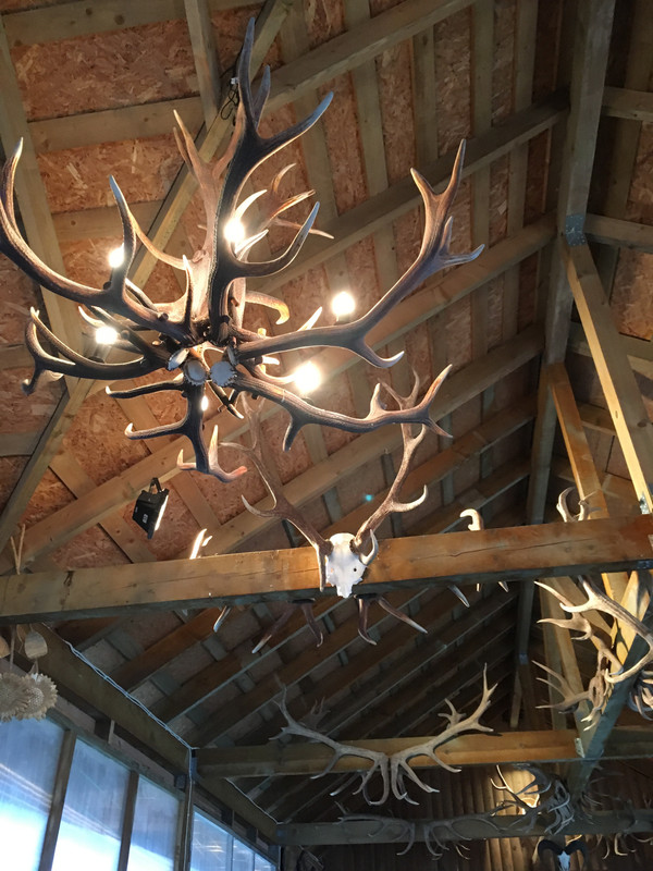 5AE5A4D7-1962-41CF-8874-D43E981D59B8