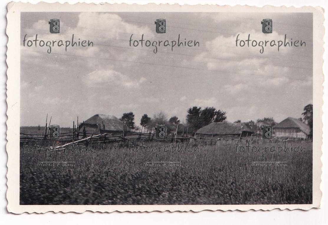 org. Foto Russland Nord 4. Polizei Panzergrenadier Div. Haus Hütte 1941