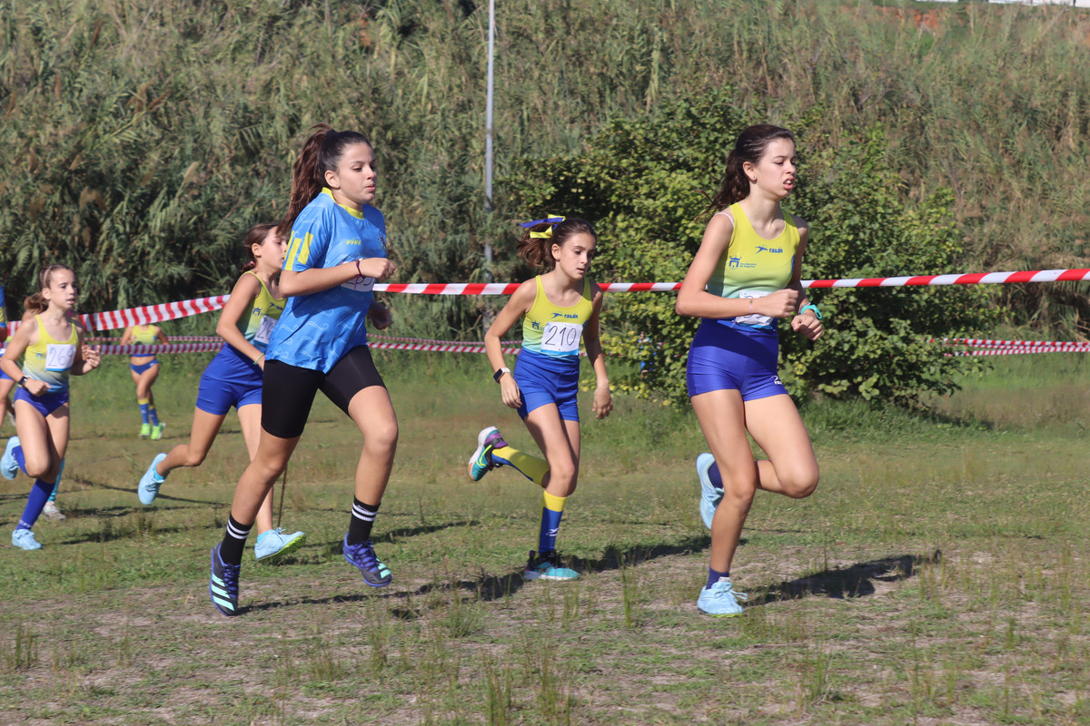 IMG-4103