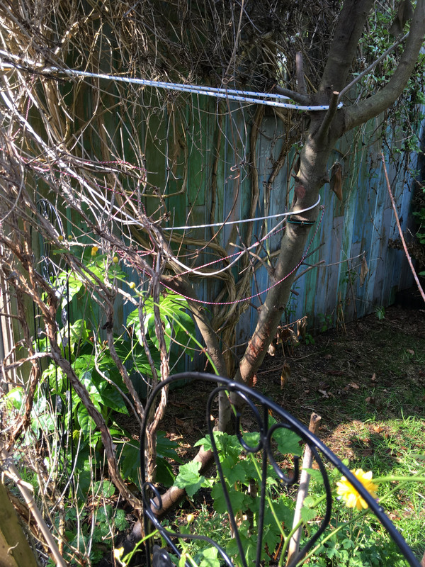 04621492-0050-43B2-A8D1-1F6984C07ABB