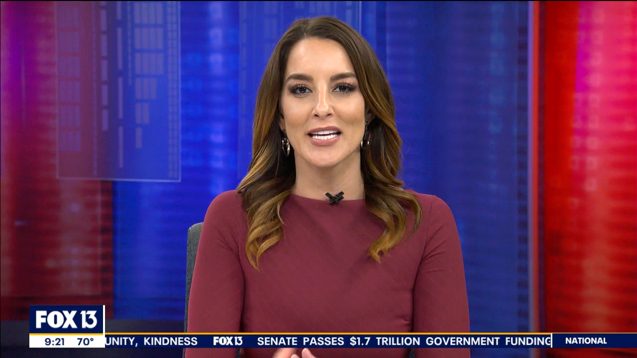 12.23 - 14.00.00 - FOX13's Good Day, Tampa Bay 9 00A  ᴺᵉʷ. News cover....ts_snapshot_00.33.16.710