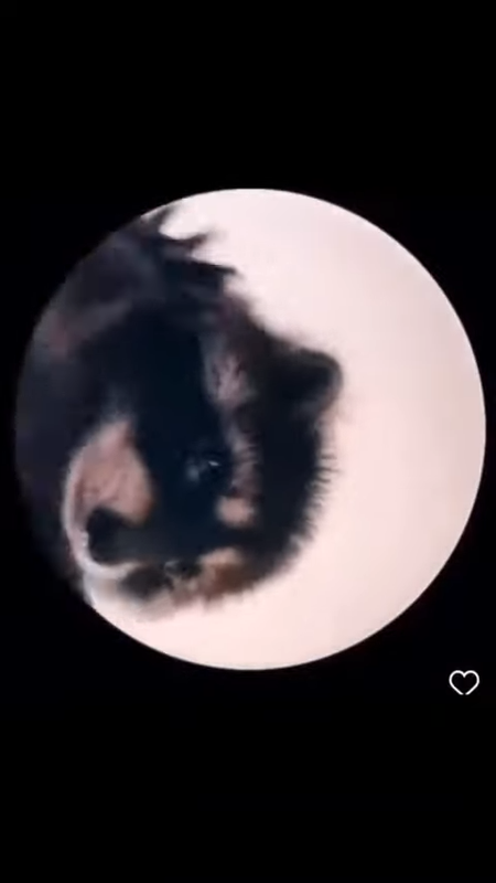 videoframe_5322