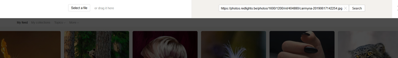 screenshot-yandex.com-2019-06-19-22-24-59
