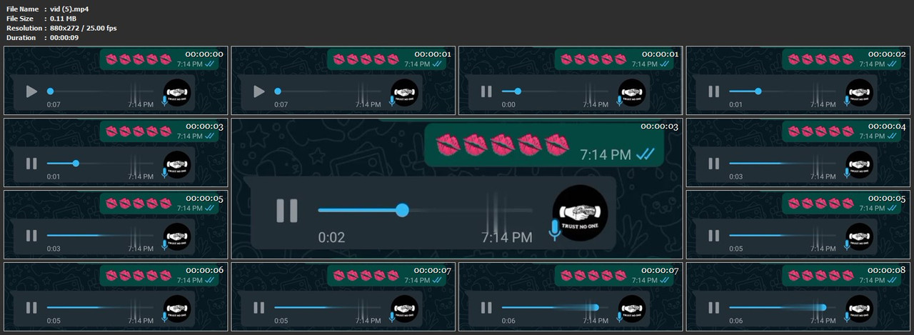 vid (5).mp4