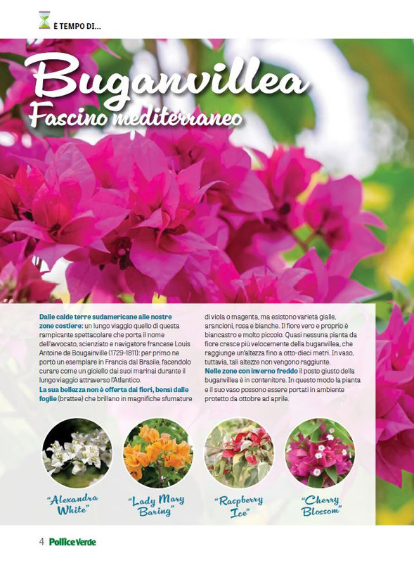 Pol Ver Lug 2024 (1)