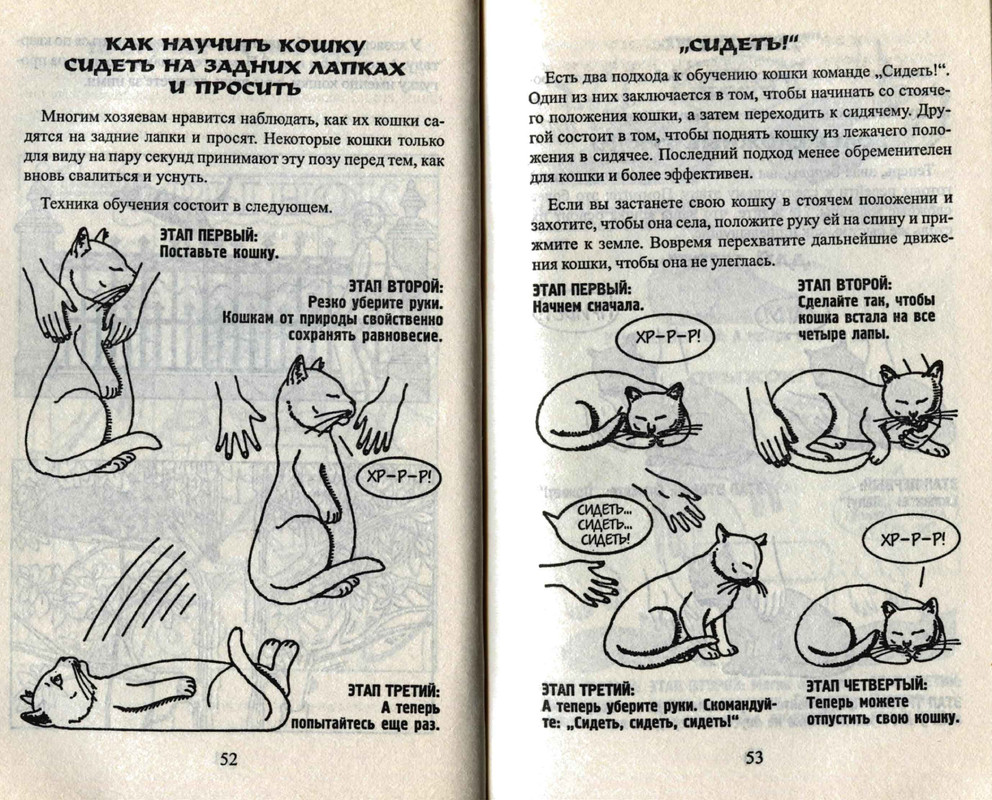 Bejker-Stiven-Kak-zhit-s-koshkoj-nevrotikom-page-0028