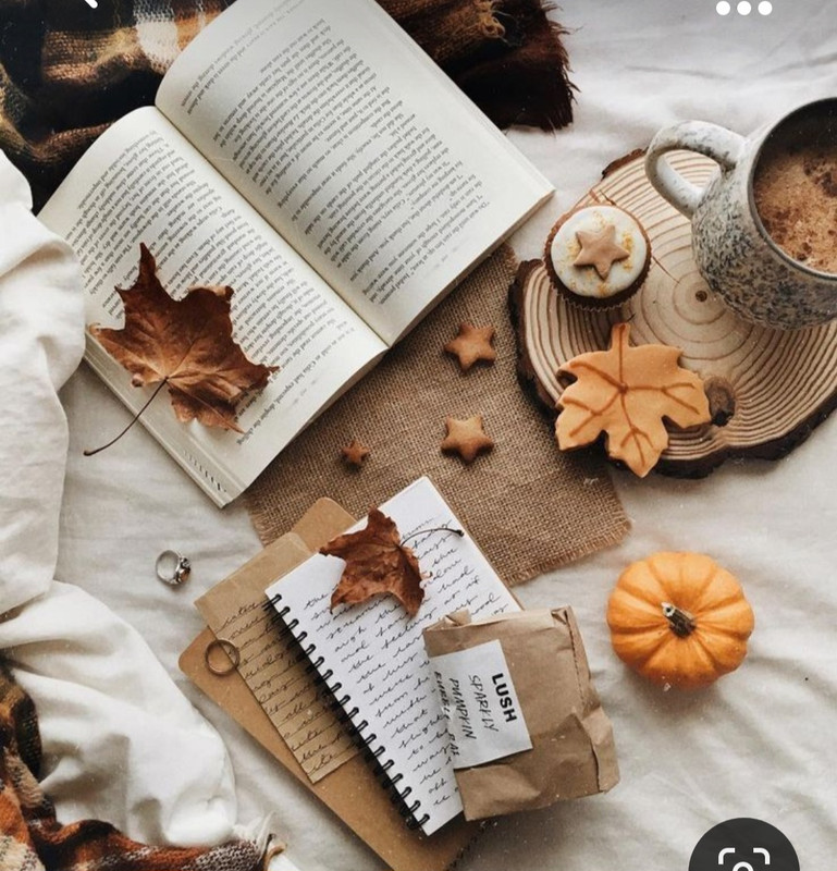 Screenshot_20230923_004504_Pinterest