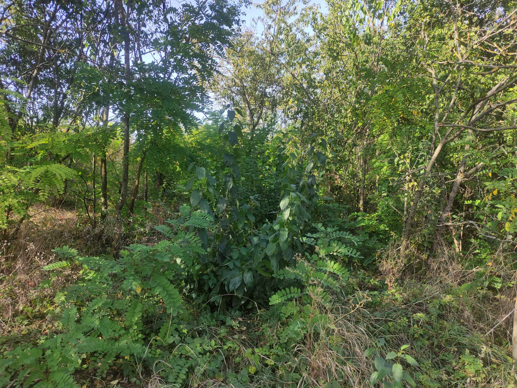 380178964_858441522249778_2796150912723430777_n