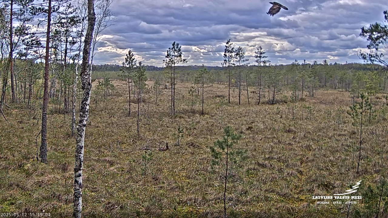 LVM Purvs - Bog 14-50-34 screenshot (1)