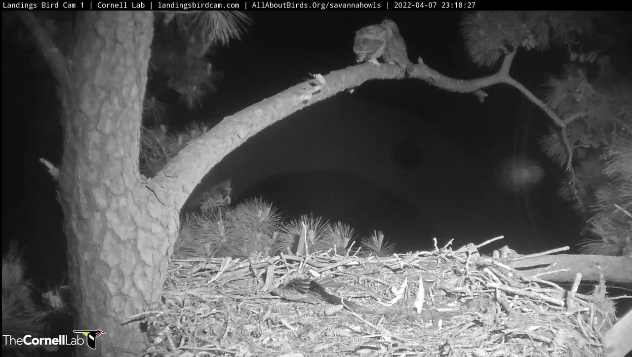 WhatsApp Image 2022-04-08 at 9.49.59 PM (2)