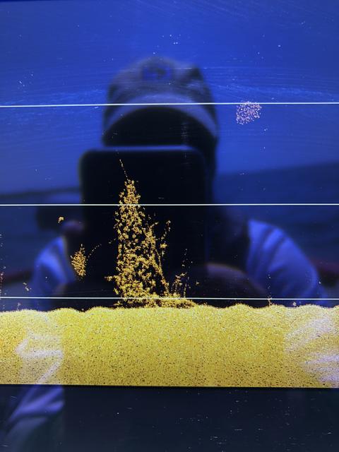 BB926AE4-5B77-4A88-B8E7-2B95FEC35C73