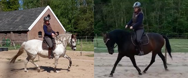 95137202_2538157819623352_6924341717650898944_o