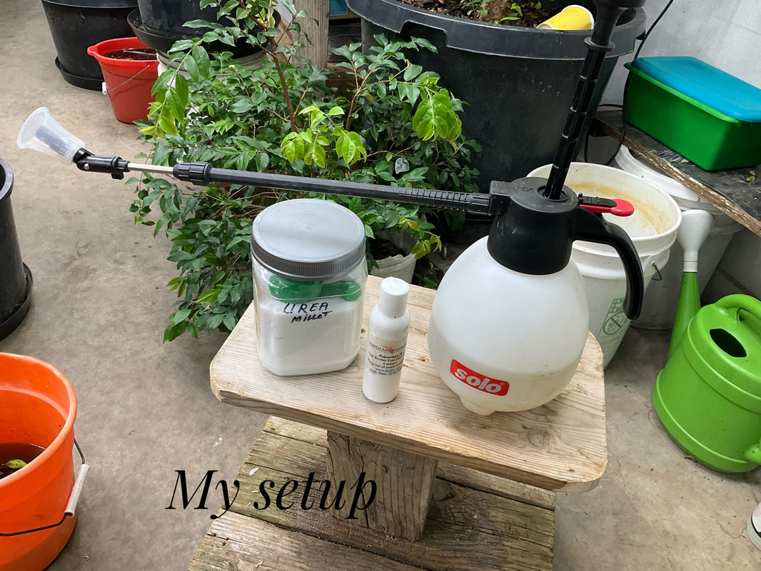 6A6399C0-53EC-48C6-9334-D7A7EF533652