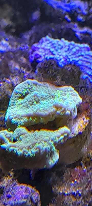 изображение_viber_2021-01-24_13-00-31