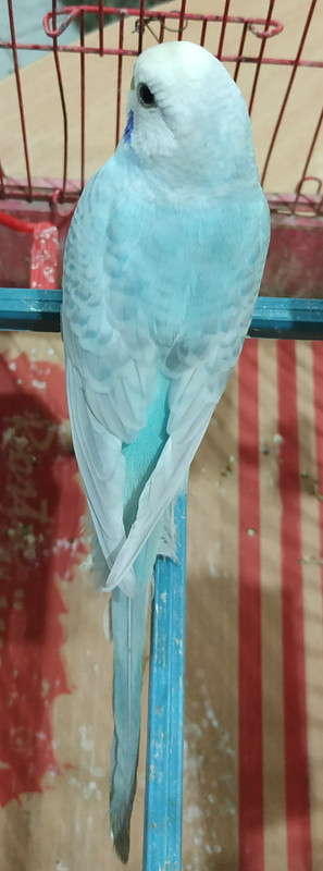 IMG_٢?١٨?٩١٢_٢٣٣٥٤٩