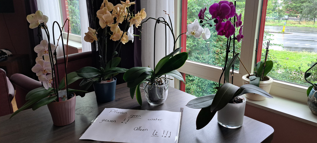 [Image: 20230731-122130.jpg]