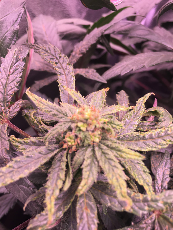 AE48A868-4F2C-4BEC-83E6-03B5ECCE60AF